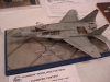 48 Chrisitan Gereard MiG 29