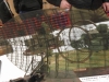 Radar Pz Detail 1