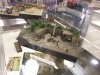 IP84 Dio_02