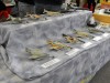 DPMV_Konvent_2009_036