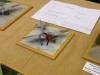 DPMV_Konvent_2009_048