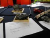 DPMV_Konvent_2009_124