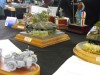 DPMV_Konvent_2009_160
