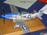 DPMV2010_RS_047