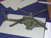 DPMV2010_RS_048