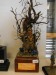 GMM09_Helms_047