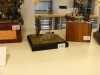 GMM09_Helms_048