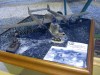 Gatow07_VH_05