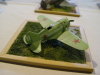 Gatow2008_FS_18