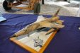 Gatow2009_SA_17