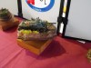 Gatow2009_VH_133