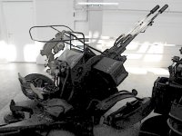 Gatow_2009_VH_Hangar_8_19