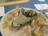 Luebeck2008_FS_027