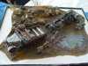 Luebeck2008_FS_058