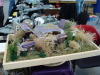 Luebeck2008_FS_127