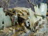 Luebeck2008_FS_225