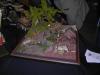 Luebeck2008_SA_022