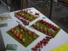 Luebeck2008_SA_042