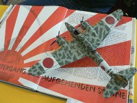 PMC-Saar09_JLF_081