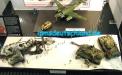 Tamiya_1-48_Diorama