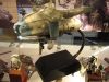 Hasegawa_MaK_35_03