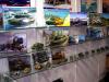 HobbyBoss_Display_01