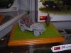 Miniart_Display_04