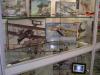 Roden_Display_02