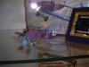 Roden_Display_03