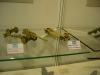 Trumpeter_10