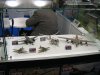 Italeri_16