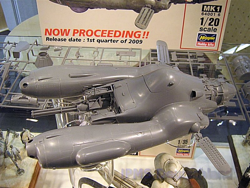 Hasegawa_03