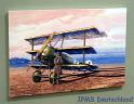 Squadron_10