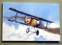 Squadron_11