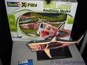 Revell_46