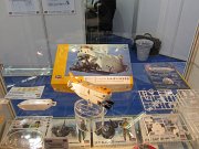 Hasegawa_09