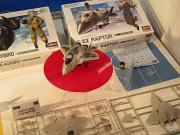 Hasegawa_10