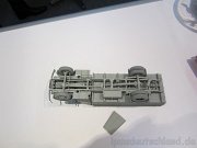 IBG_11