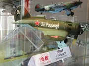 ICM_48_scale_01