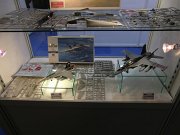 Hasegawa_02