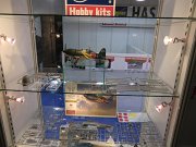 Hasegawa_04