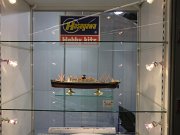 Hasegawa_16