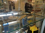 MPM_group_02