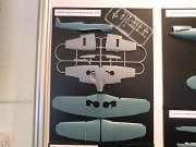 MPM_group_15