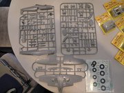 MPM_group_46