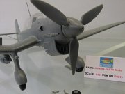 Trumperter_04