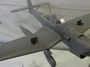 Trumperter_06