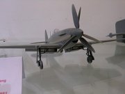 Trumperter_10