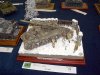 Pilsen2008_006