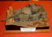 Telford_2005_SA_061